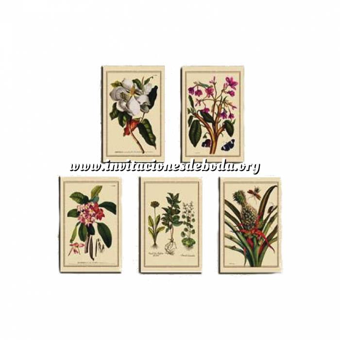 Imagen Baño y aromas Laminas de arte botánico 5 uds (decoracion) 